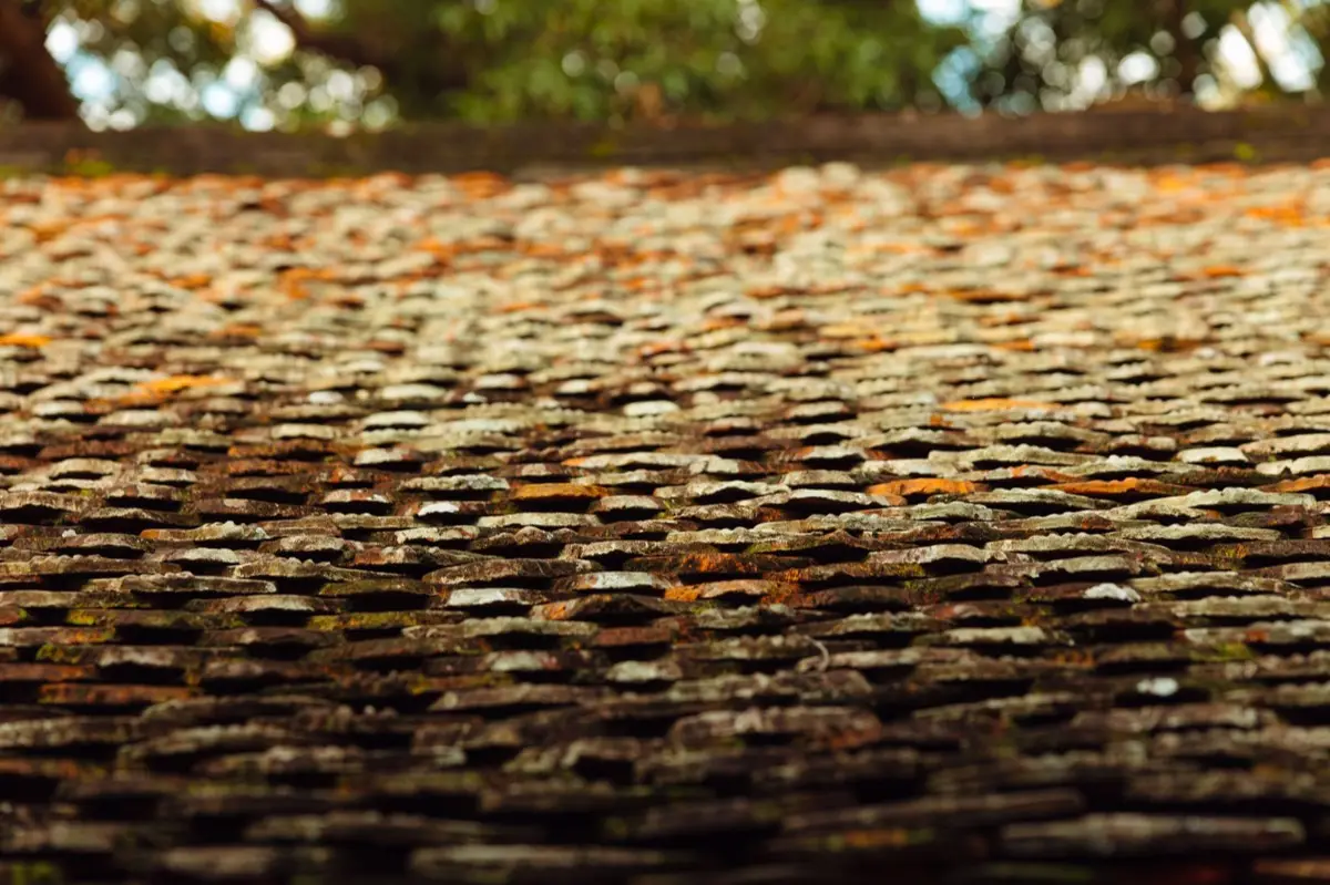 Aging shingle roof with moss growth and granule loss in Great Falls, MT